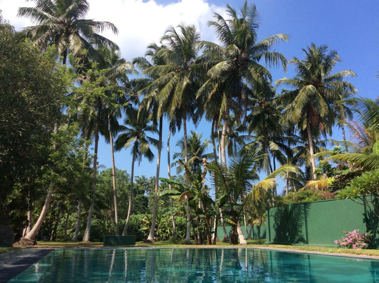 Hettimulla River House Bentota Exterior photo